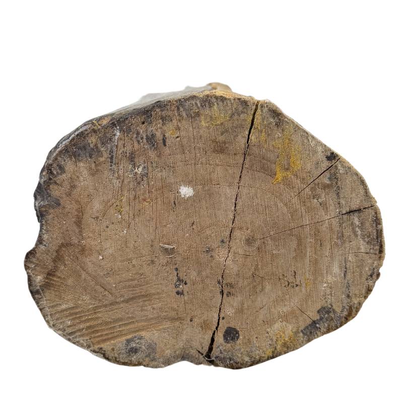 Stilisierte indonesische Holzschnitzerei, auf historische Authentizität geprüft.