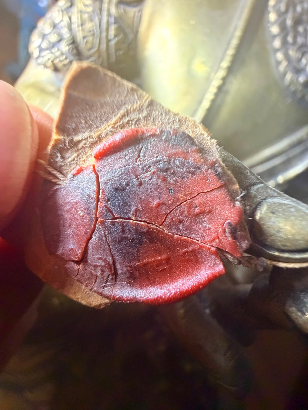 Detail van een rood Nepalees exportzegel met koord aan een sculptuur