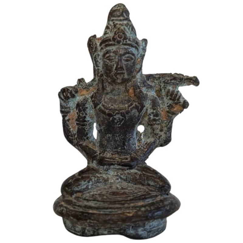 Avatar betekenis in het hindoeïsme: de goddelijke incarnaties van Heer Vishnu