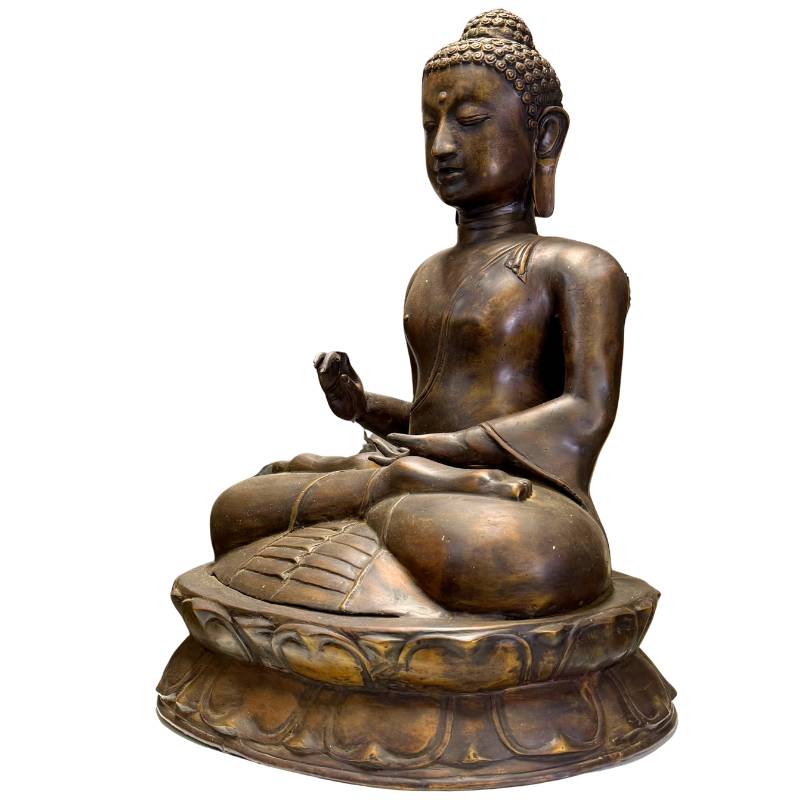 Technisch geprüftes javanisches Exemplar (8,5 kg) von der 1stBuddha Research Unit.
