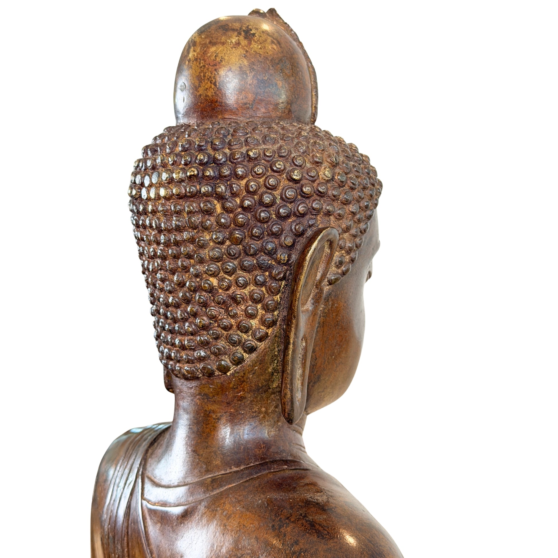 Nahaufnahme der Rückseite und des Seitenprofils des Kopfes des Buddha Muchalinda mit regelmäßigen Haarlocken und goldbrauner Oberfläche
