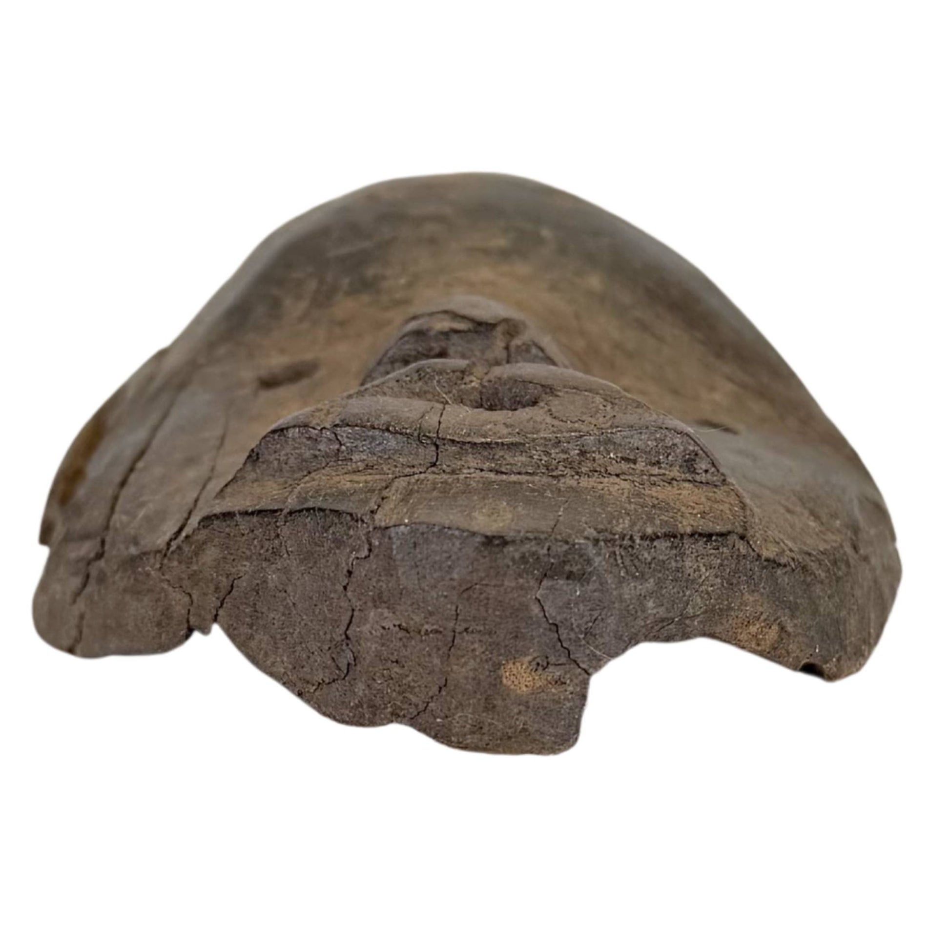 Afrikanische Holzmaske mit offenem Mund und tiefen Augenöffnungen