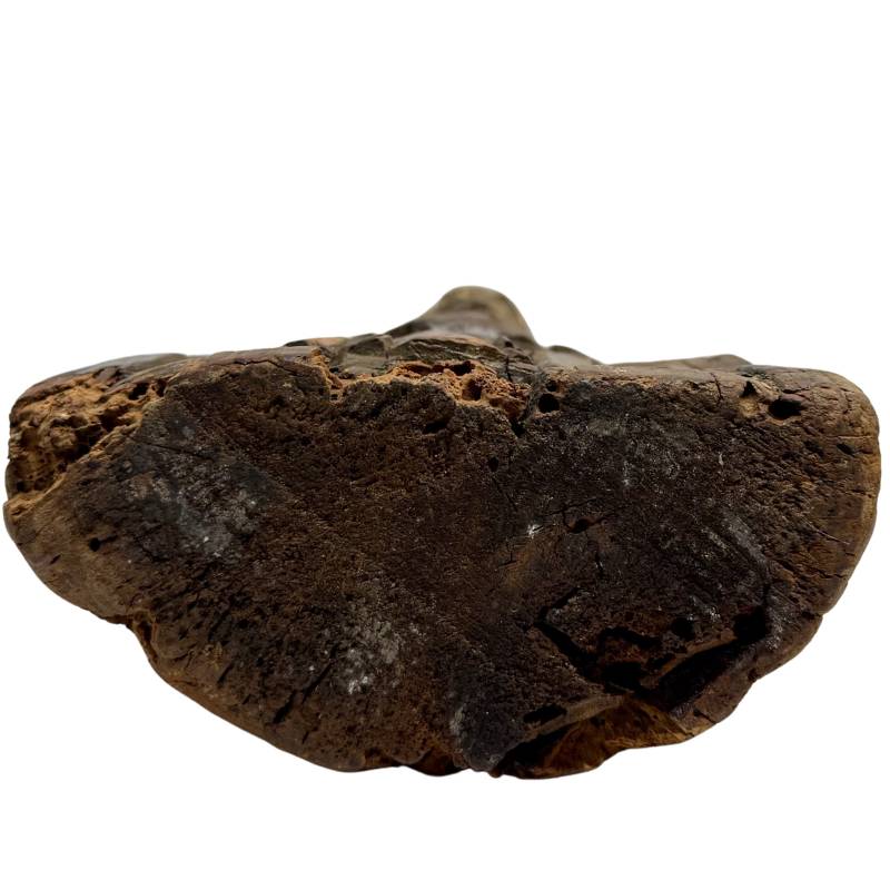 Antike Guanyin-Buddha-Statue aus Holz mit authentischem Aussehen und Ausstrahlung von Ruhe