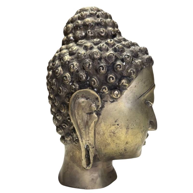 Ansicht von links des bronzenen Buddha-Kopfes, wobei die charakteristischen langen Ohrläppchen besonders hervorgehoben werden.