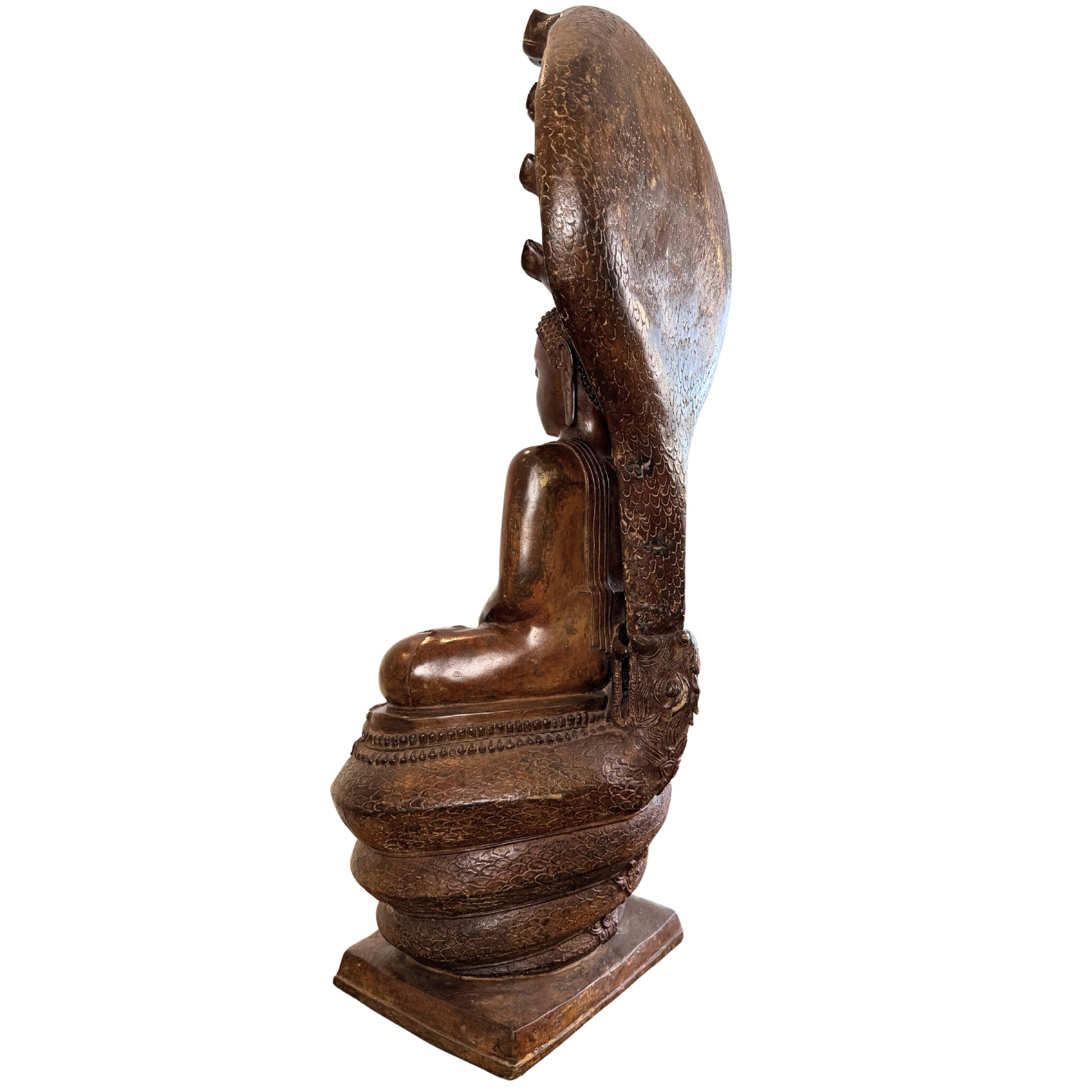 Dreiviertel-Rückansicht des monumentalen Buddha Muchalinda unter dem Naga-Baldachin mit Blick auf dessen Rückseite und die geschichtete Patina