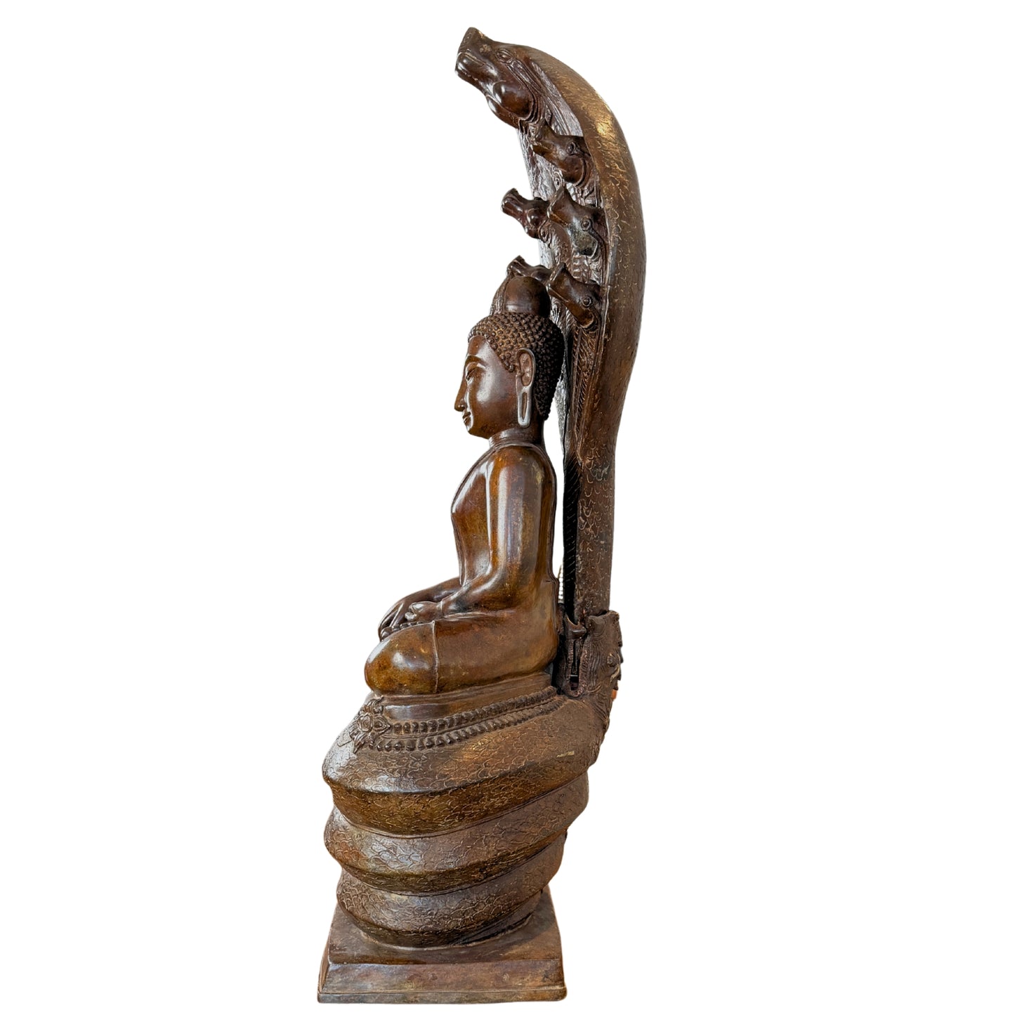 Vollständige Profilansicht des 122 cm hohen Buddha Muchalinda mit montiertem siebenköpfigem Naga-Baldachin und gewundener Schlangenbasis