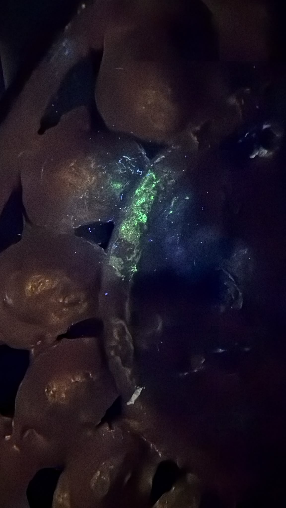 UV photo of an antique Green Tara from Nepal with visible fluorescence, fire gilding, old restorations and natural patina under ultraviolet light.