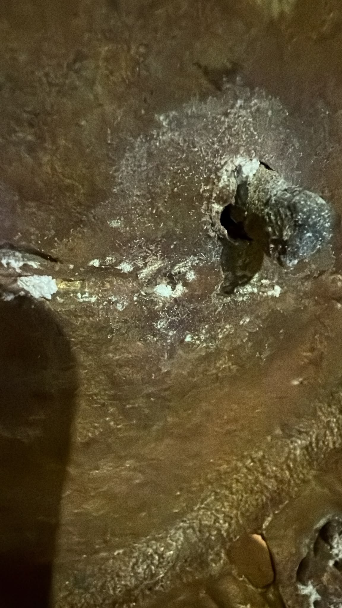 Detail of old white mineral salt deposit on an antique Nepal Tara, resulting from natural aging and long-term oxidation.