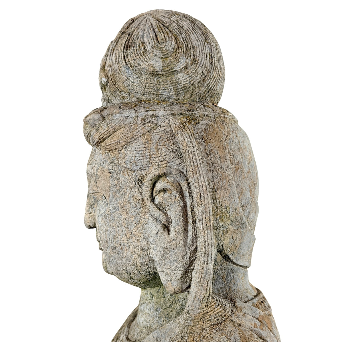 Linkes Profil von Kopf und Haartracht