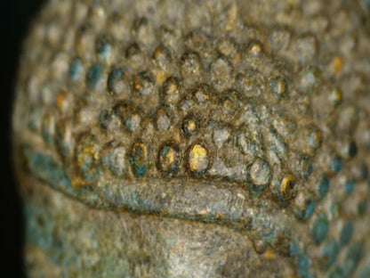 Mikroskopdetail der Haarkringel mit verstreuten goldfarbenen Resten und alter Patina