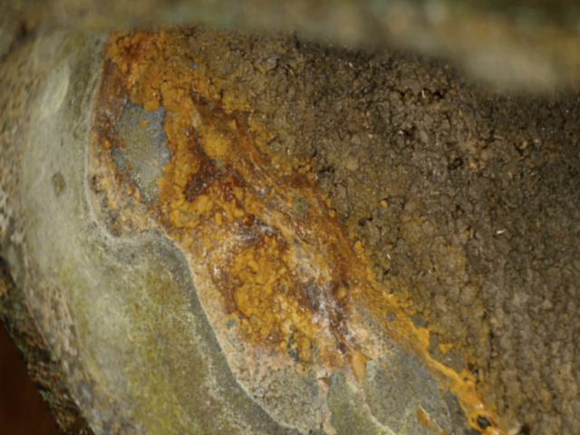 Mikroskopdetail orangebrauner Oxidation am Übergang vom Gusskern zur Bronze