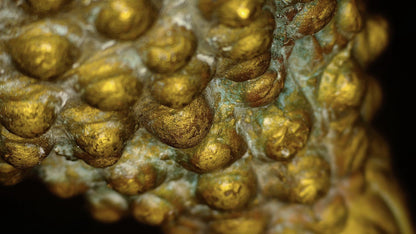 Mikroskopische Aufnahme von Patina und historischen Ablagerungen zwischen den Haarlocken.