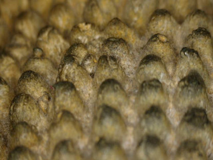 Detail unregelmäßiger Haarlocken und alter Patina