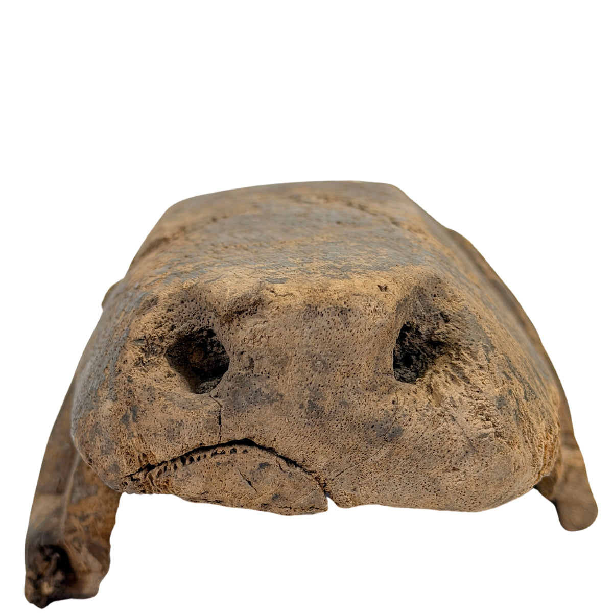 Unteransicht der pferdeartigen Bamana Tiermaske aus Mali mit verwittertem Holz