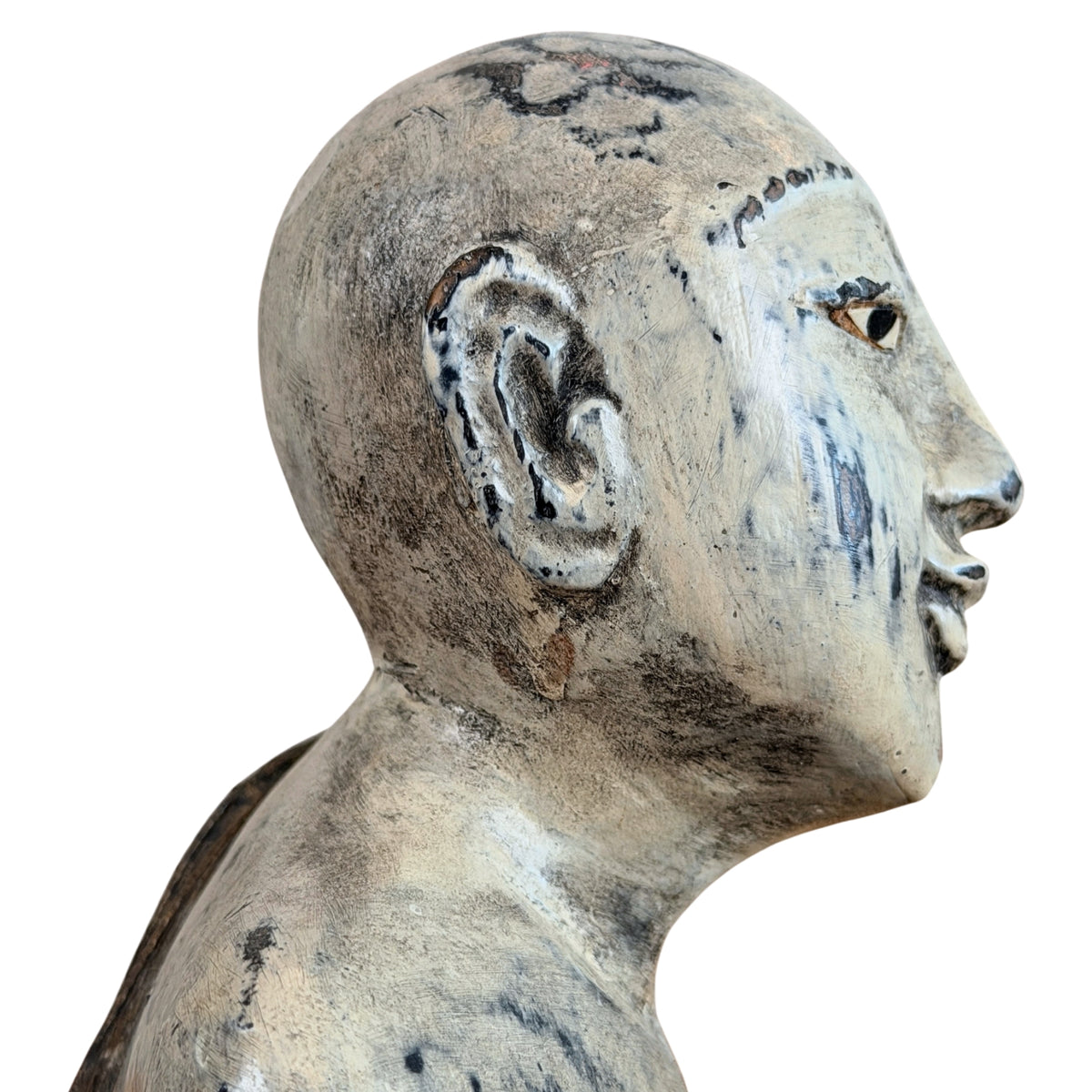 Profil des kahlen Schädels