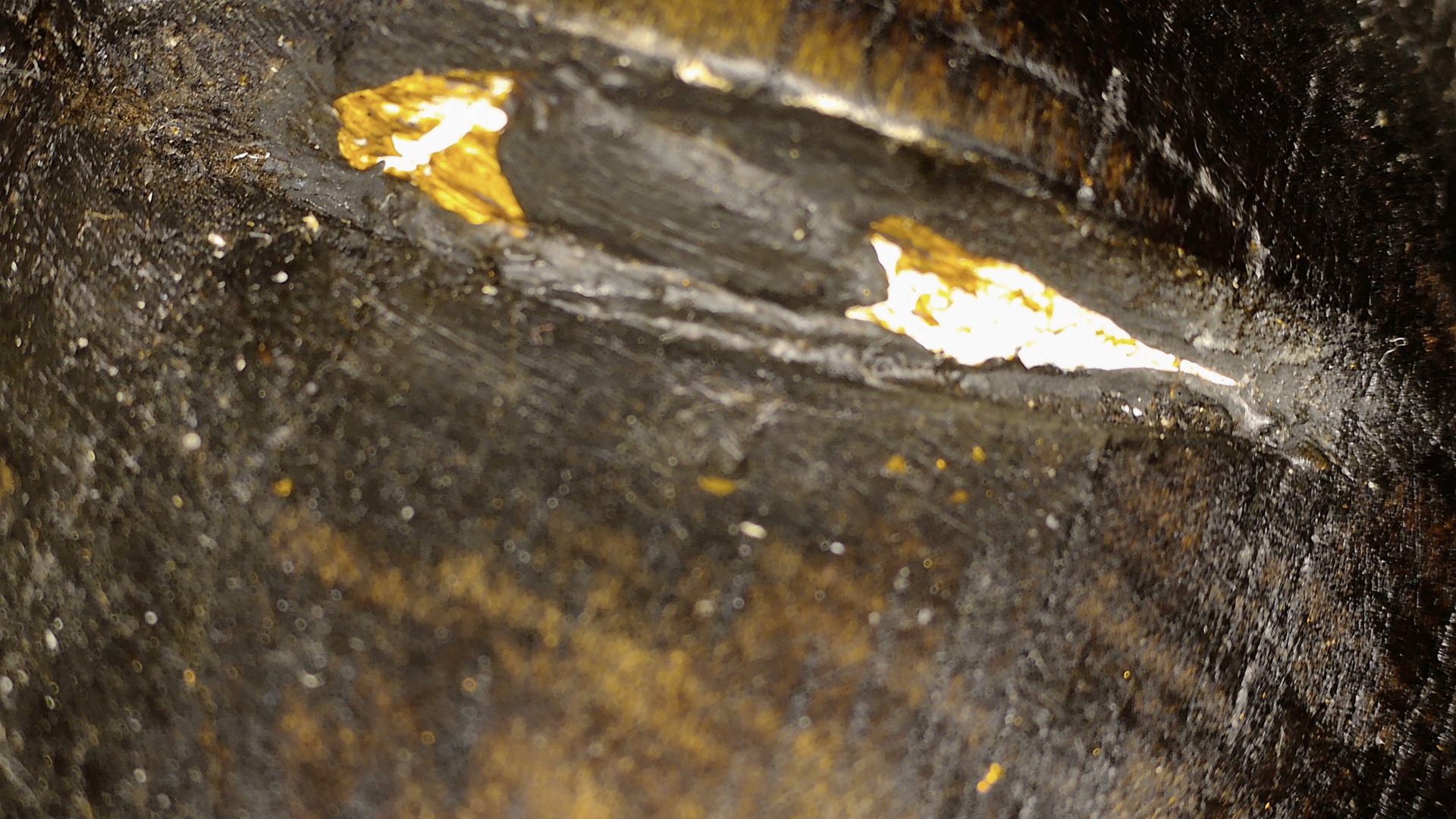 Mikroskopdetail des lackierten Holzes und örtlicher Vergoldungsreste