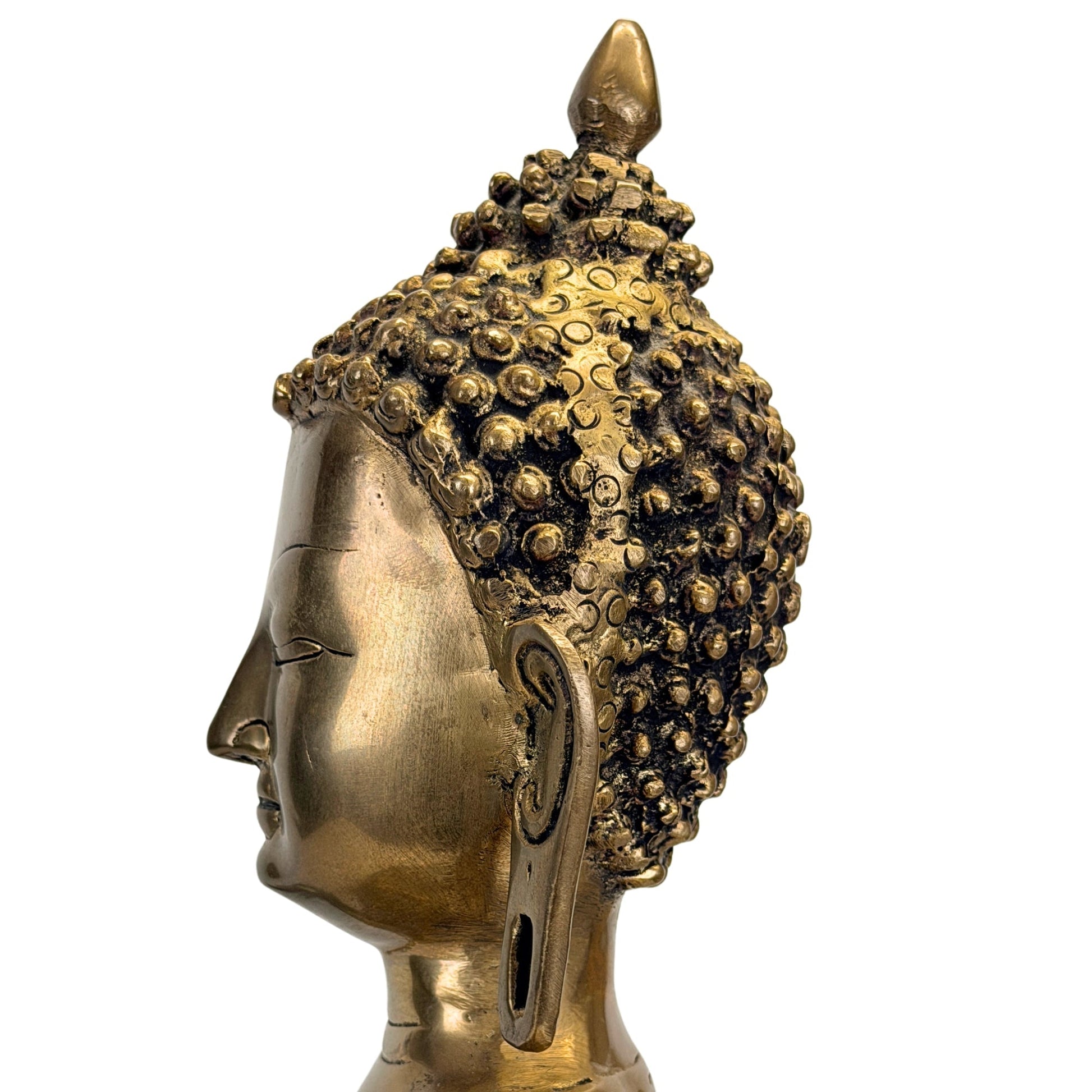 Linkerprofiel van het hoofd van de antieke Shakyamuni Boeddha