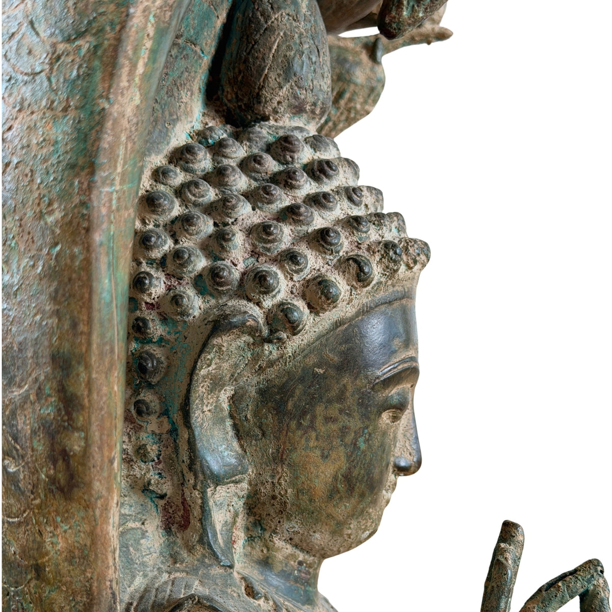 Profil des Buddha-Gesichts, der Haarlocken und der Naga-Haube