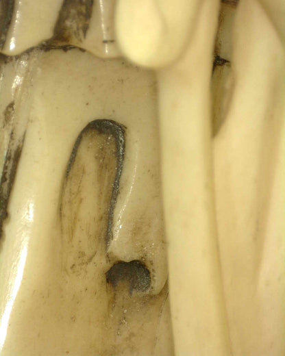 Chinesische Darstellung von Guanyin Avalokiteshvara aus der späten Qing‑Periode