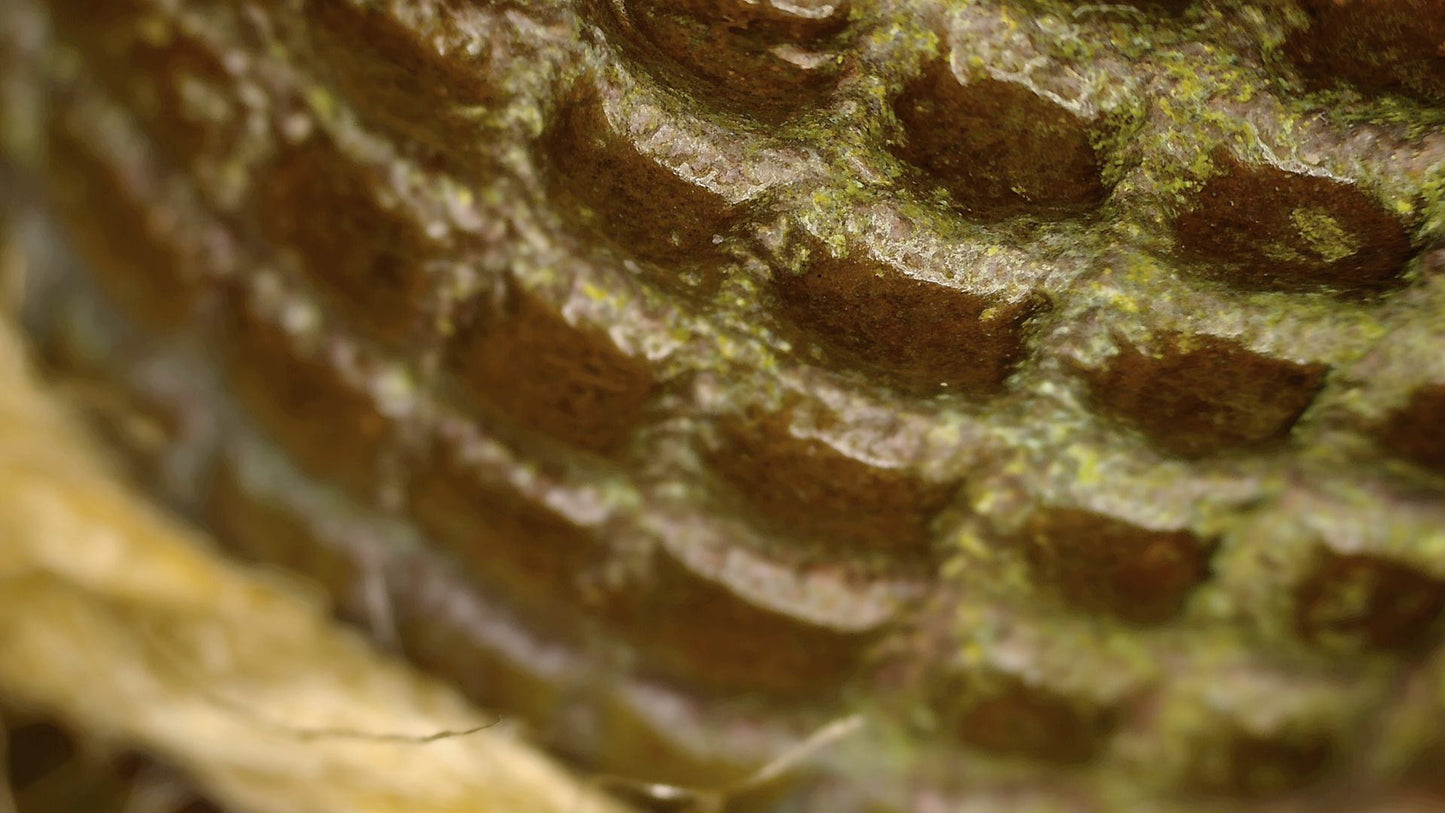 Makroaufnahme des Haarmusters mit Oxidation in den Vertiefungen