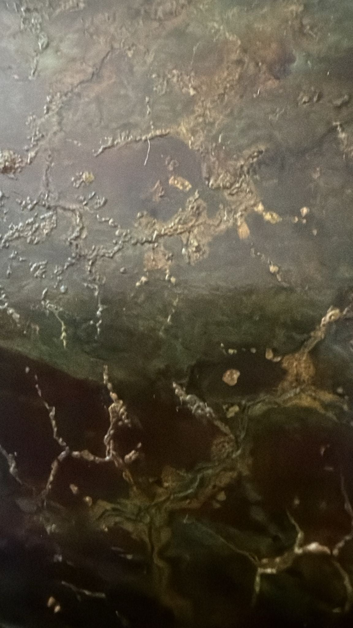 Makroaufnahme der dendritischen Malachitpatina und der organischen Oxidation.