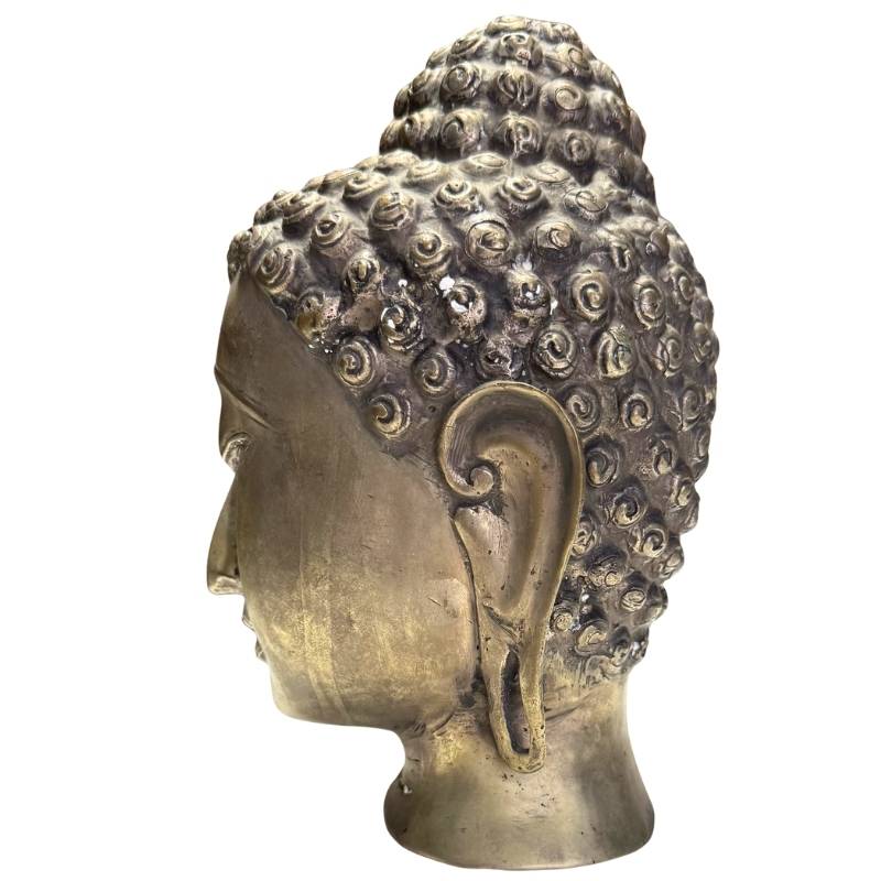 Rechtes Profil des Buddha-Kopfes, das die feinen Gesichtszüge und die Formgebung verdeutlicht.