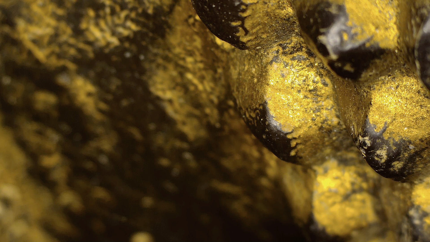 Mikroskopaufnahme der alten goldfarbenen Fassung im Gesicht