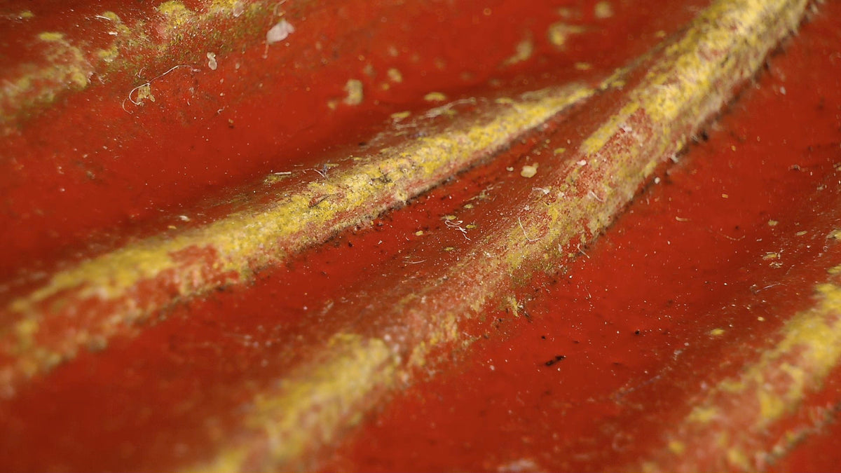 Microscope detail of red lacquer, a robe fold and traces of gilding