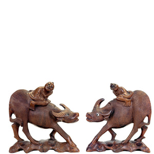 Paar Chinese hardhouten waterbuffels met herdersjongens – ca. 1920–1950