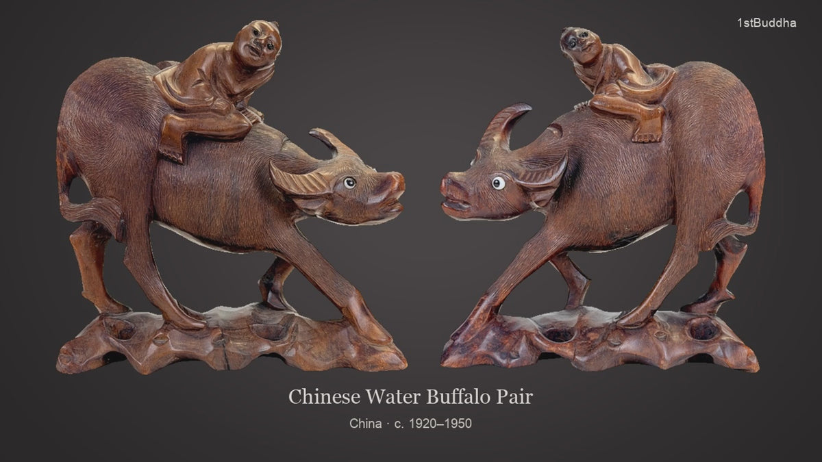 Productvideo van paar Chinese hardhouten waterbuffels met herdersjongens, ca. 1920–1950, met ingelegde ogen en opengewerkte houten sokkels, volledig paar en details van beide beelden.