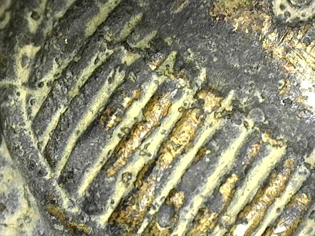 Dino-Lite-Einschluss der goldenen Ritualablagerung im Kern; zeigt keine Reaktion auf Aceton, was das Vorhandensein von reinem Edelmetall bestätigt.