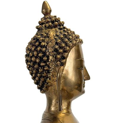 Detail des buddhistischen Kopfes mit Haarlocken und verlängertem Ohrläppchen