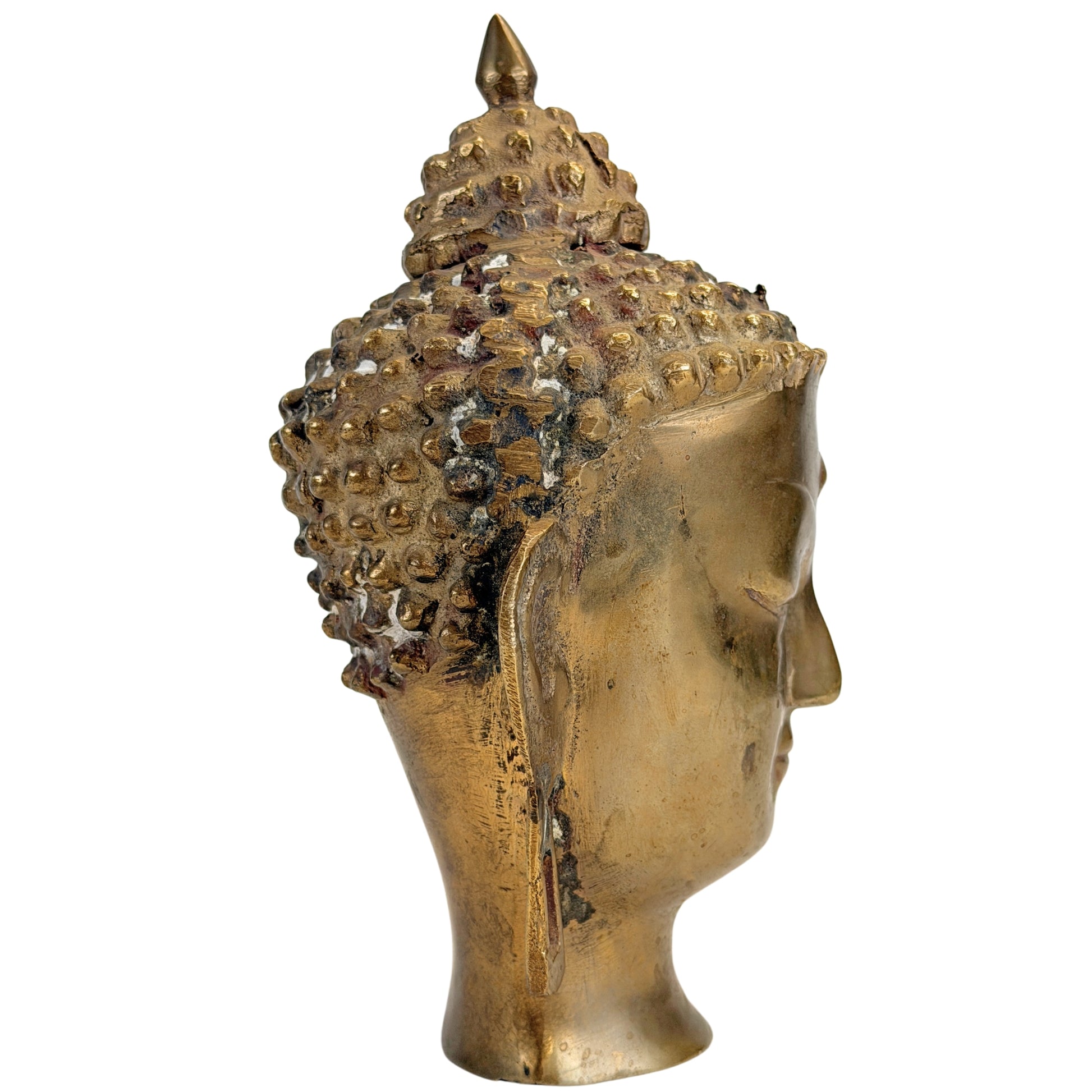 Rechtes Profil des Buddhakopfes mit langem durchbrochenem Ohrläppchen