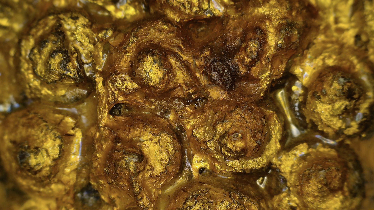 Makrodetail von Vergoldung, lackartigem Grund, Patina und Zustand des Ayutthaya-Buddha, SKU 740 – Detail 3