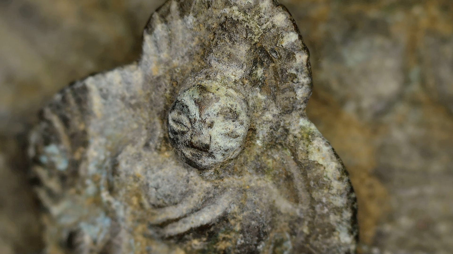 SKU 745 – Makroaufnahme von Gesicht und Oberkörper einer sitzenden Buddhafigur