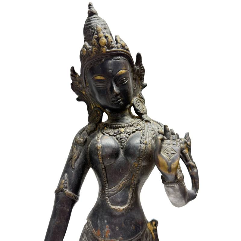 Nahaufnahme der Mudra (Handgeste) und der Verzierungen der Tara.