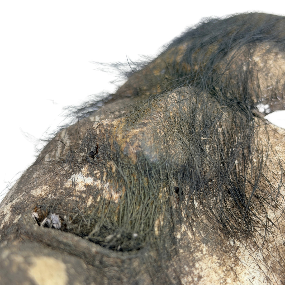 Detail von geformtem Yakleder und Naturhaar an nepalesischer Schamanenmaske
