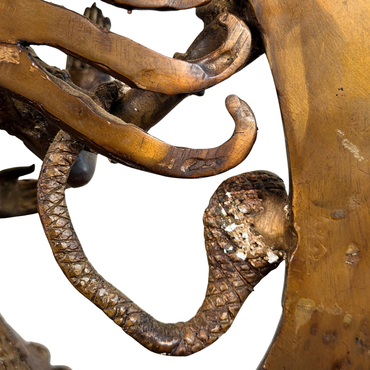 Schlange mit Haube am Flammenkranz, Detail